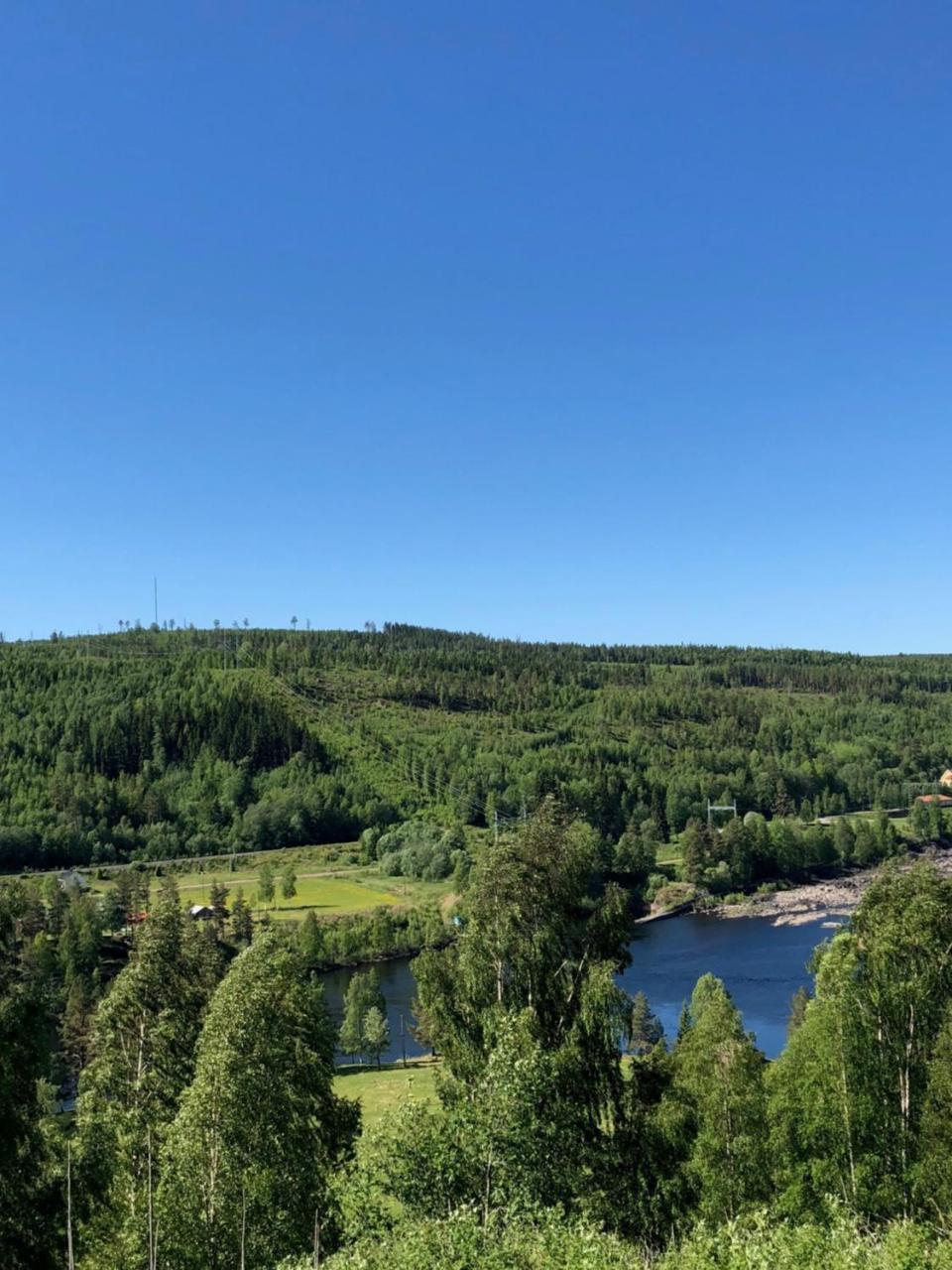 Hotell Restaurang Naemforsen Näsåker 外观 照片